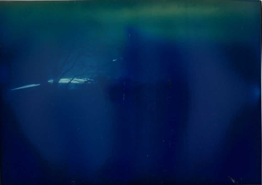 a blueish tinted image with the sihouette of a tree visible, and a few bright streaks across the bottom