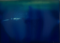 a blueish tinted image with the sihouette of a tree visible, and a few bright streaks across the bottom