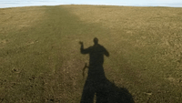a grassy field with the silhouette of someone astride their bike - taken from the perspective of that person
