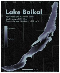 A dark map of Lake Baikal. Titled: 'Lake Baikal' with subtitle: 'Age: oldest (25-30 million years) Depth: deepest (1,642 m) Area: 7th largest (Belgium + 1,033 km2)'. The bathymetry is coloured from dark black at the deepest through a purple-y gray to gray for the shallow regions. A colorbar has the 'dysphotic' and 'aphotic' zones roughly labelled. It spans latitude 52-56 N and longitudes 104-110 E. (approx). A dark, mostly black, subtle hillshade is applied to the surrounding landscape. The lake cuts a roughly diagonal line from the bottom left of the frame to the top right, and it is very narrow compared to its length. Credits at the bottom read: 'by:tlohde / GEBCO Bathymetric Compilation Group 2025 (2025): The GEBCO_2025 Grid - a continuous terrain model for oceans and land at 15 arc-second intervals'