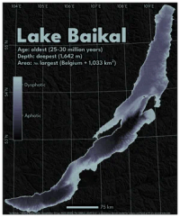 A dark map of Lake Baikal. Titled: 'Lake Baikal' with subtitle: 'Age: oldest (25-30 million years) Depth: deepest (1,642 m) Area: 7th largest (Belgium + 1,033 km2)'. The bathymetry is coloured from dark black at the deepest through a purple-y gray to gray for the shallow regions. A colorbar has the 'dysphotic' and 'aphotic' zones roughly labelled. It spans latitude 52-56 N and longitudes 104-110 E. (approx). A dark, mostly black, subtle hillshade is applied to the surrounding landscape. The lake cuts a roughly diagonal line from the bottom left of the frame to the top right, and it is very narrow compared to its length. Credits at the bottom read: 'by:tlohde / GEBCO Bathymetric Compilation Group 2025 (2025): The GEBCO_2025 Grid - a continuous terrain model for oceans and land at 15 arc-second intervals'