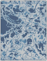 Mackenzie Distributaries. Illustration of a complex network of meandering, branching river channels. The rivers are shown in dark blue, with colours ranging from light blue to white away from the channels. Lighter colours denote elevations that are higher than the nearest river channel.
