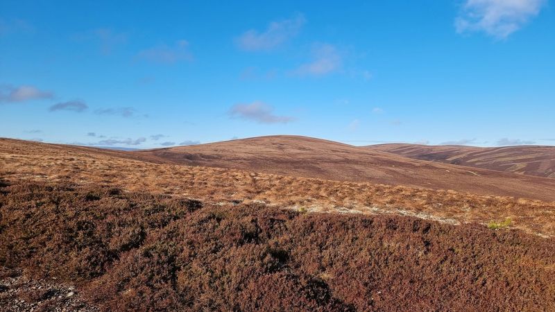 a view of some rolling hills under a blue sky. the hills are covered in a patchwork of heather, and are various shades of brown